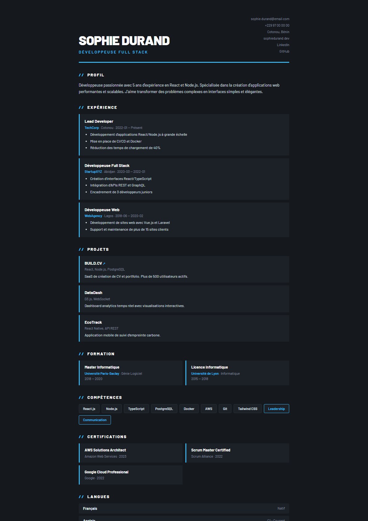 Modèle de CV Carbone