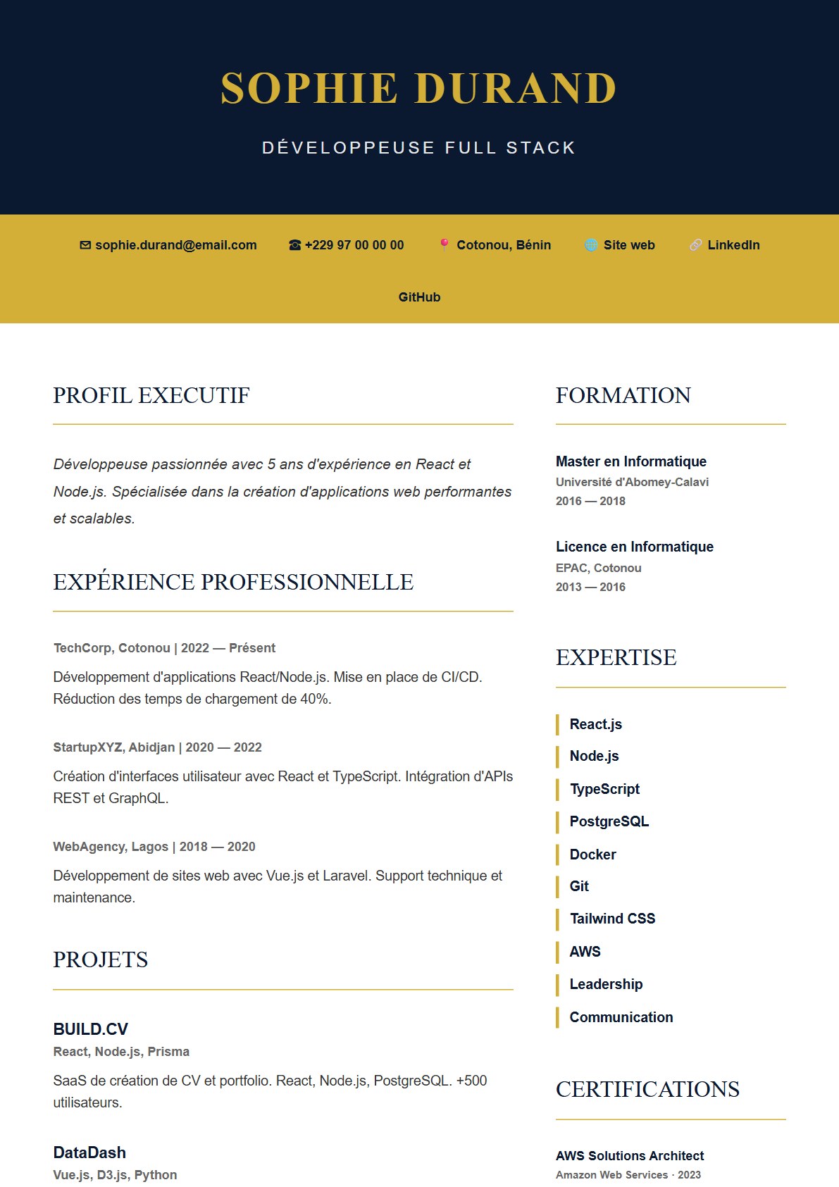 Modèle de CV CEO Luxury