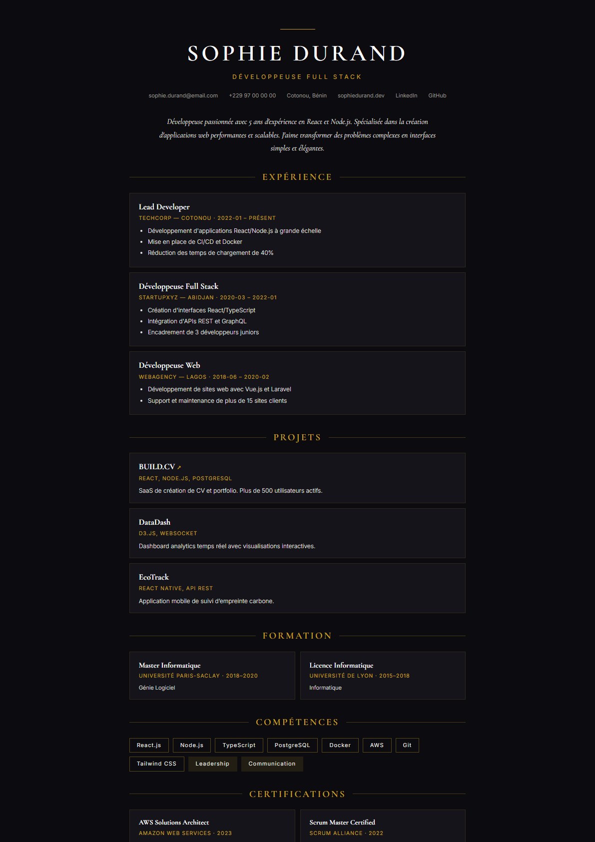 Modèle de CV Onyx