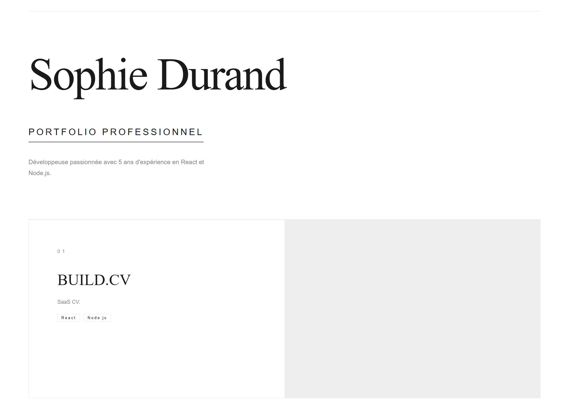 Modèle de portfolio Architect