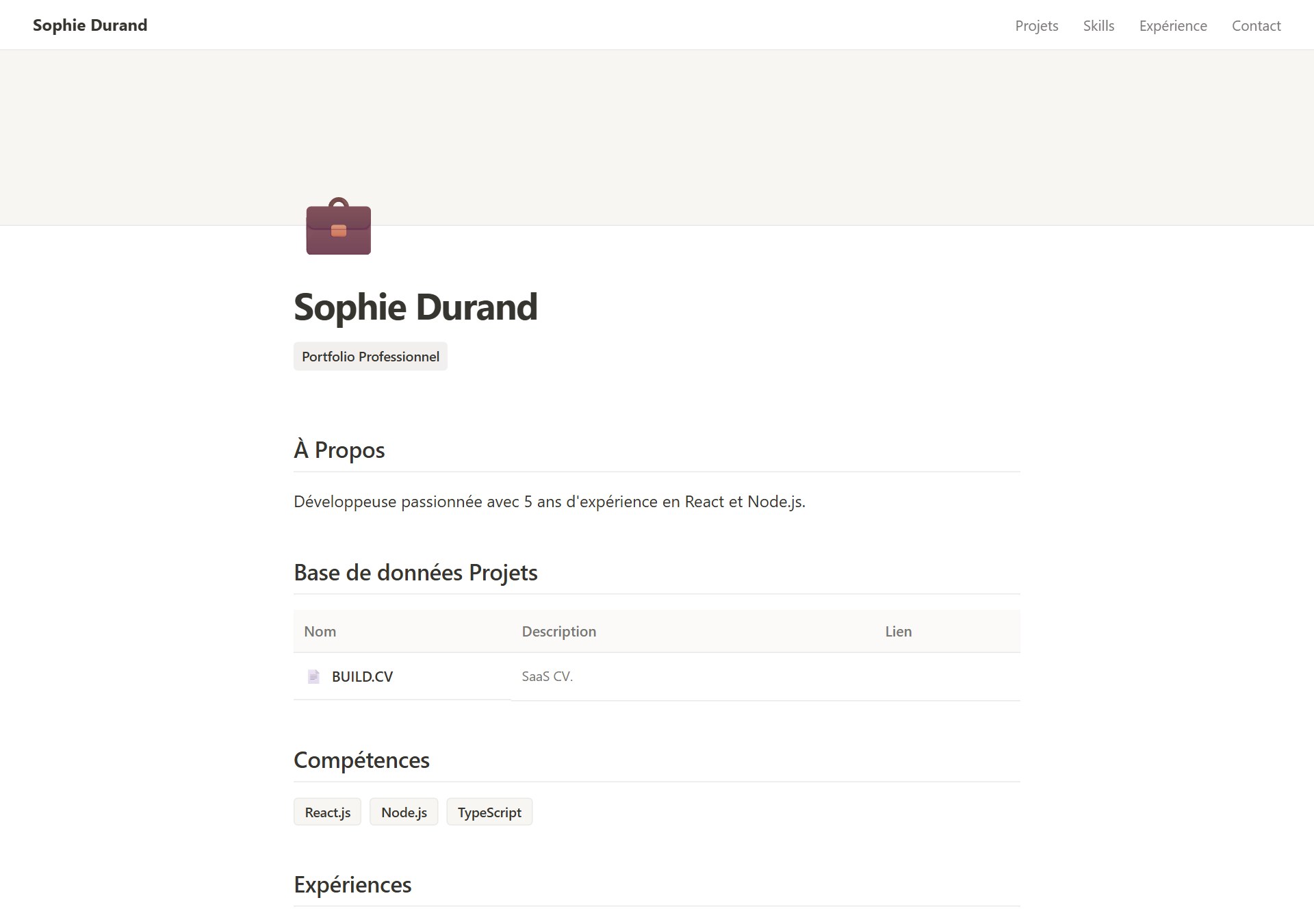 Modèle de portfolio Minimal Notion